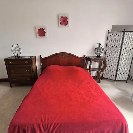 Le Zinnia Jardins De Marie