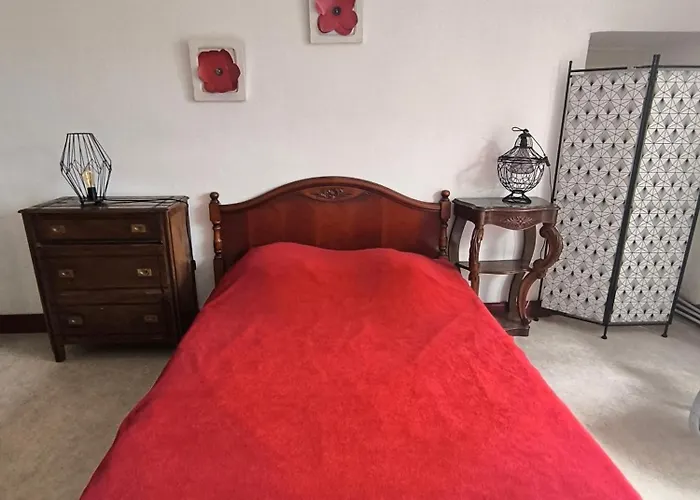 Le Zinnia Jardins De Marie